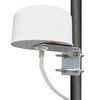 2.4 GHz U 系列 MIMO 全向天线