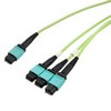 OM5,MPO24 至 MPO8