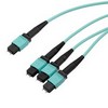 OM4,MPO24 至 MPO8