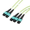 OM5,MPO8 至 MPO12