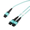 MPO24带引脚到2xMPO12带引脚，OM3 50 / 125um多模，ONFR护套，水蓝色，1米的图片